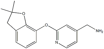 {2-[(2,2-dimethyl-2,3-dihydro-1-benzofuran-7-yl)oxy]pyridin-4-yl}methylamine Struktur