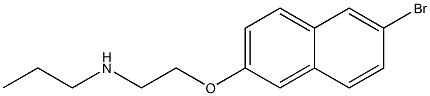 {2-[(6-bromonaphthalen-2-yl)oxy]ethyl}(propyl)amine Struktur