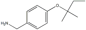 {4-[(2-methylbutan-2-yl)oxy]phenyl}methanamine Struktur