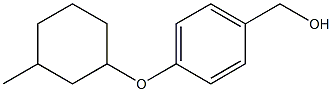 {4-[(3-methylcyclohexyl)oxy]phenyl}methanol Struktur