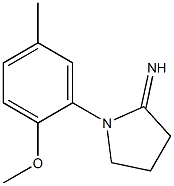 1-(2-methoxy-5-methylphenyl)pyrrolidin-2-imine Struktur