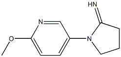 1-(6-methoxypyridin-3-yl)pyrrolidin-2-imine Struktur