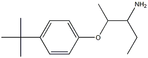 1-[(3-aminopentan-2-yl)oxy]-4-tert-butylbenzene Struktur