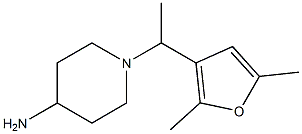 1-[1-(2,5-dimethylfuran-3-yl)ethyl]piperidin-4-amine Struktur