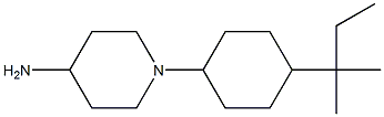 1-[4-(2-methylbutan-2-yl)cyclohexyl]piperidin-4-amine Struktur