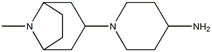 1-{8-methyl-8-azabicyclo[3.2.1]octan-3-yl}piperidin-4-amine Struktur