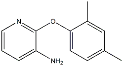 2-(2,4-dimethylphenoxy)pyridin-3-amine Struktur