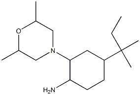 2-(2,6-dimethylmorpholin-4-yl)-4-(2-methylbutan-2-yl)cyclohexan-1-amine Struktur