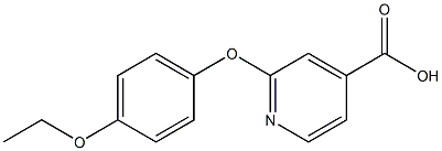 2-(4-ethoxyphenoxy)pyridine-4-carboxylic acid Struktur