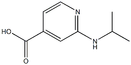 2-(propan-2-ylamino)pyridine-4-carboxylic acid Struktur