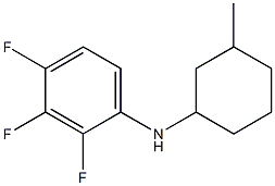 2,3,4-trifluoro-N-(3-methylcyclohexyl)aniline Struktur