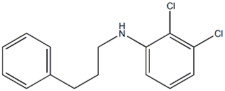 2,3-dichloro-N-(3-phenylpropyl)aniline Struktur