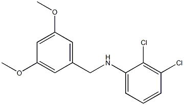 2,3-dichloro-N-[(3,5-dimethoxyphenyl)methyl]aniline Struktur