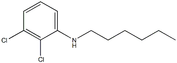 2,3-dichloro-N-hexylaniline Struktur