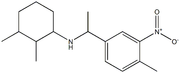 2,3-dimethyl-N-[1-(4-methyl-3-nitrophenyl)ethyl]cyclohexan-1-amine Struktur