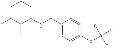 2,3-dimethyl-N-{[4-(trifluoromethoxy)phenyl]methyl}cyclohexan-1-amine Struktur