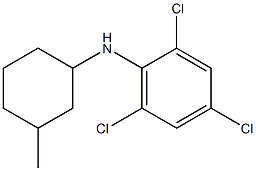 2,4,6-trichloro-N-(3-methylcyclohexyl)aniline Struktur