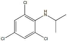 2,4,6-trichloro-N-(propan-2-yl)aniline Struktur