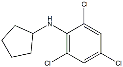 2,4,6-trichloro-N-cyclopentylaniline Struktur