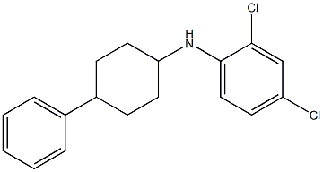 2,4-dichloro-N-(4-phenylcyclohexyl)aniline Struktur