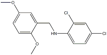 2,4-dichloro-N-[(2,5-dimethoxyphenyl)methyl]aniline Struktur