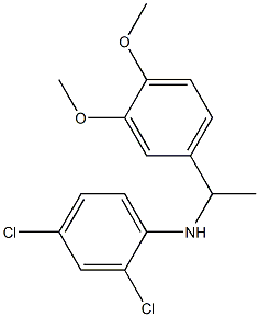 2,4-dichloro-N-[1-(3,4-dimethoxyphenyl)ethyl]aniline Struktur