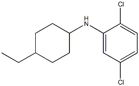 2,5-dichloro-N-(4-ethylcyclohexyl)aniline Struktur