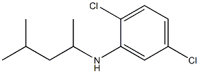 2,5-dichloro-N-(4-methylpentan-2-yl)aniline Struktur