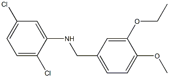 2,5-dichloro-N-[(3-ethoxy-4-methoxyphenyl)methyl]aniline Struktur