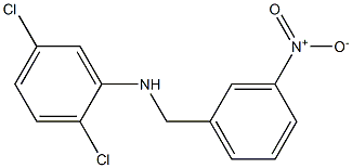 2,5-dichloro-N-[(3-nitrophenyl)methyl]aniline Struktur