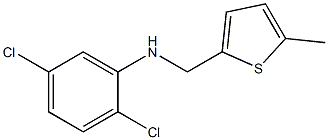 2,5-dichloro-N-[(5-methylthiophen-2-yl)methyl]aniline Struktur