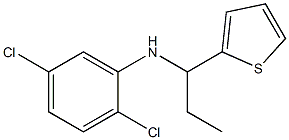 2,5-dichloro-N-[1-(thiophen-2-yl)propyl]aniline Struktur