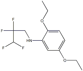 2,5-diethoxy-N-(2,2,3,3-tetrafluoropropyl)aniline Struktur