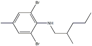 2,6-dibromo-4-methyl-N-(2-methylpentyl)aniline Struktur