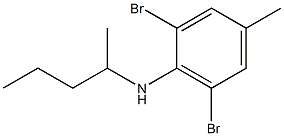 2,6-dibromo-4-methyl-N-(pentan-2-yl)aniline Struktur