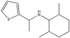 2,6-dimethyl-N-[1-(thiophen-2-yl)ethyl]cyclohexan-1-amine Struktur