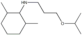 2,6-dimethyl-N-[3-(propan-2-yloxy)propyl]cyclohexan-1-amine Struktur