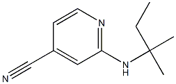 2-[(1,1-dimethylpropyl)amino]isonicotinonitrile Struktur