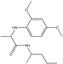 2-[(2,4-dimethoxyphenyl)amino]-N-(pentan-2-yl)propanamide Struktur