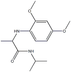 2-[(2,4-dimethoxyphenyl)amino]-N-(propan-2-yl)propanamide Struktur