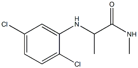 2-[(2,5-dichlorophenyl)amino]-N-methylpropanamide Struktur