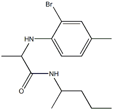 2-[(2-bromo-4-methylphenyl)amino]-N-(pentan-2-yl)propanamide Struktur