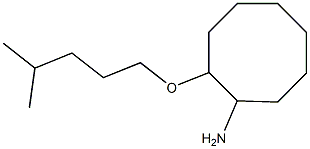 2-[(4-methylpentyl)oxy]cyclooctan-1-amine Struktur