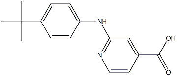 2-[(4-tert-butylphenyl)amino]pyridine-4-carboxylic acid Struktur