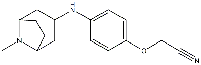 2-[4-({8-methyl-8-azabicyclo[3.2.1]octan-3-yl}amino)phenoxy]acetonitrile Struktur