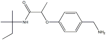 2-[4-(aminomethyl)phenoxy]-N-(2-methylbutan-2-yl)propanamide Struktur