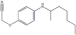 2-[4-(heptan-2-ylamino)phenoxy]acetonitrile Struktur