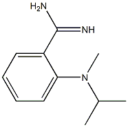 2-[methyl(propan-2-yl)amino]benzene-1-carboximidamide Struktur