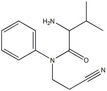 2-amino-N-(2-cyanoethyl)-3-methyl-N-phenylbutanamide Struktur