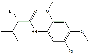 2-bromo-N-(5-chloro-2,4-dimethoxyphenyl)-3-methylbutanamide Struktur